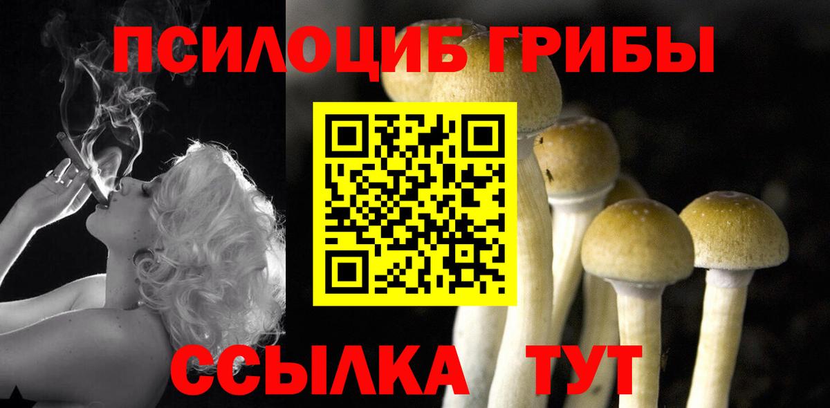 Галлюциногенные грибы Magic Shrooms  Вход с VPN  купить наркотик  Сальск  Галлюциногенные грибы мицелий 